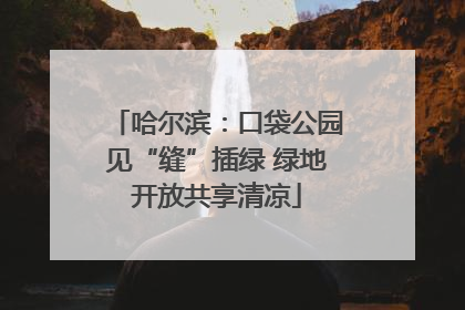 哈尔滨：口袋公园见“缝”插绿 绿地开放共享清凉