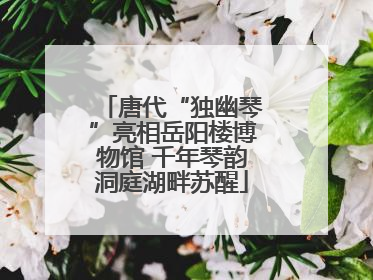 唐代“独幽琴”亮相岳阳楼博物馆 千年琴韵洞庭湖畔苏醒