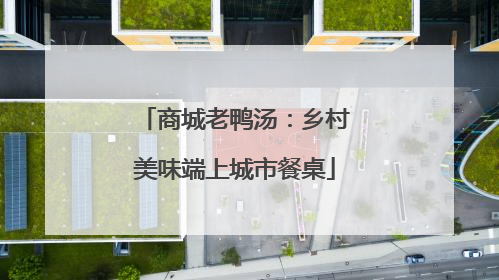 商城老鸭汤：乡村美味端上城市餐桌
