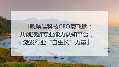 嗯噢哇科技CEO窦飞鹏：共创旅游专业能力认知平台，激发行业“自生长”力量