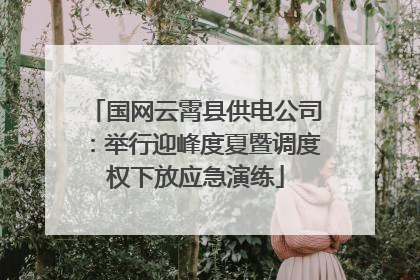 国网云霄县供电公司：举行迎峰度夏暨调度权下放应急演练