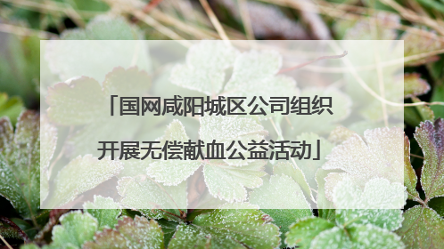 国网咸阳城区公司组织开展无偿献血公益活动
