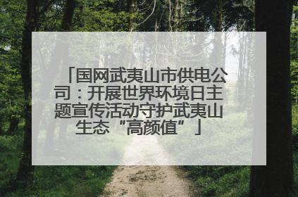 国网武夷山市供电公司：开展世界环境日主题宣传活动守护武夷山生态“高颜值”