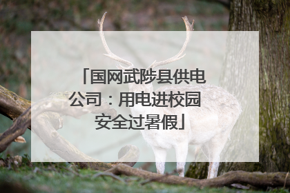 国网武陟县供电公司：用电进校园  安全过暑假