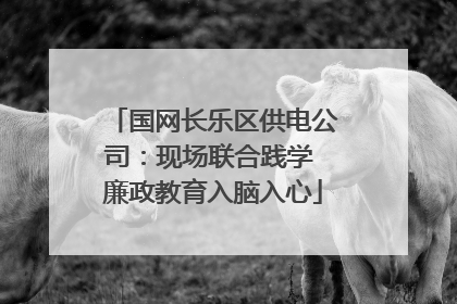 国网长乐区供电公司：现场联合践学 廉政教育入脑入心