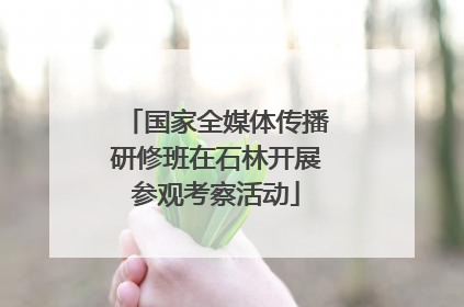 国家全媒体传播研修班在石林开展参观考察活动