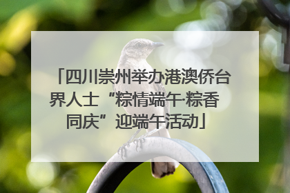 四川崇州举办港澳侨台界人士“粽情端午·粽香同庆”迎端午活动