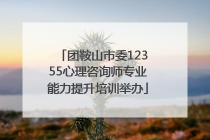 团鞍山市委12355心理咨询师专业能力提升培训举办