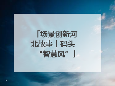场景创新河北故事丨码头“智慧风”