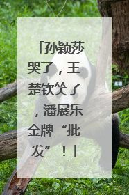 孙颖莎哭了，王楚钦笑了，潘展乐金牌“批发”！