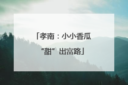 孝南：小小香瓜 “甜”出富路
