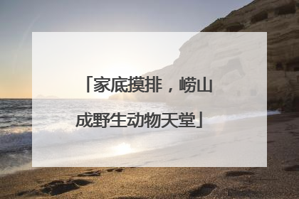 家底摸排，崂山成野生动物天堂