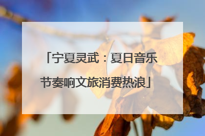宁夏灵武：夏日音乐节奏响文旅消费热浪