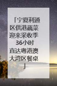 宁夏利通区供港蔬菜迎来采收季 36小时直达粤港澳大湾区餐桌