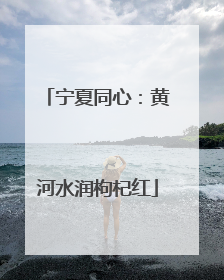 宁夏同心：黄河水润枸杞红