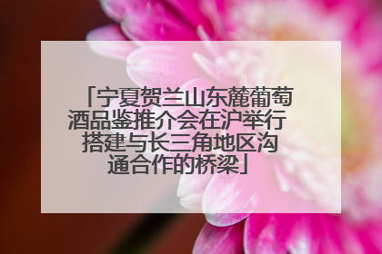 宁夏贺兰山东麓葡萄酒品鉴推介会在沪举行 搭建与长三角地区沟通合作的桥梁
