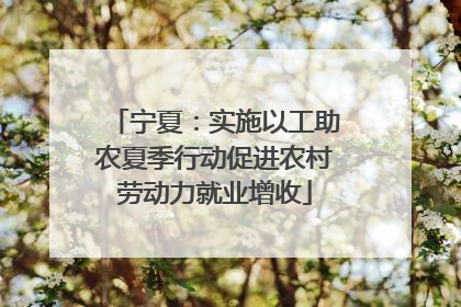 宁夏：实施以工助农夏季行动促进农村劳动力就业增收