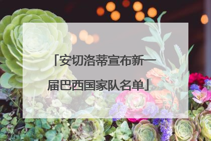 安切洛蒂宣布新一届巴西国家队名单