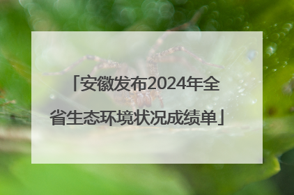 安徽发布2024年全省生态环境状况成绩单