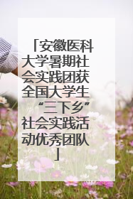 安徽医科大学暑期社会实践团获全国大学生“三下乡”社会实践活动优秀团队