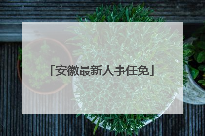 安徽最新人事任免