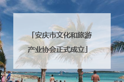 安庆市文化和旅游产业协会正式成立