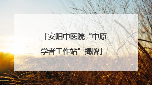 安阳中医院“中原学者工作站”揭牌