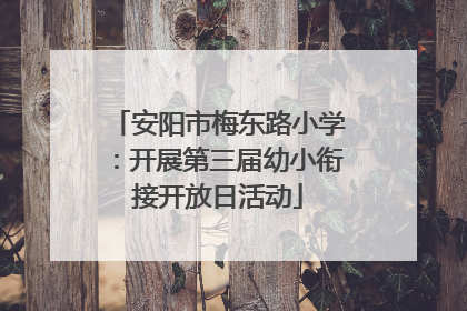 安阳市梅东路小学：开展第三届幼小衔接开放日活动