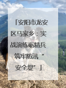 安阳市龙安区马家乡：实战演练砺精兵 筑牢防汛“安全堤”