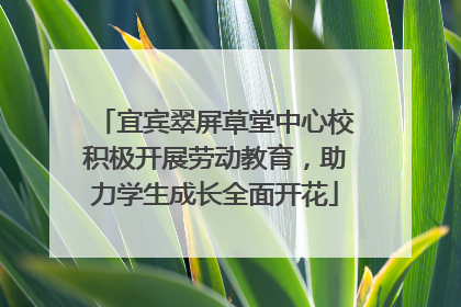 宜宾翠屏草堂中心校积极开展劳动教育，助力学生成长全面开花