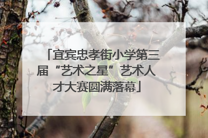 宜宾忠孝街小学第三届“艺术之星”艺术人才大赛圆满落幕