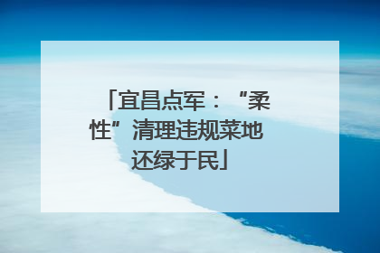 宜昌点军：“柔性”清理违规菜地 还绿于民