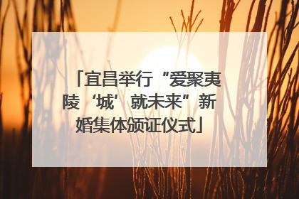 宜昌举行“爱聚夷陵‘城’就未来”新婚集体颁证仪式