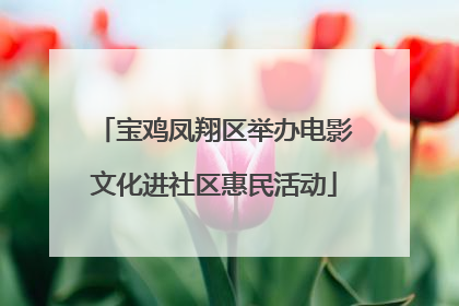宝鸡凤翔区举办电影文化进社区惠民活动