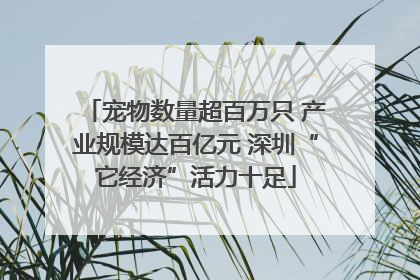 宠物数量超百万只 产业规模达百亿元 深圳“它经济”活力十足