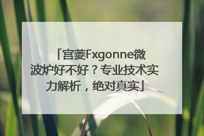 宫菱Fxgonne微波炉好不好？专业技术实力解析，绝对真实