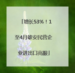 增长53%！1至4月雄安民营企业进出口亮眼
