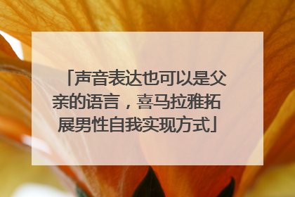 声音表达也可以是父亲的语言，喜马拉雅拓展男性自我实现方式