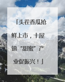 头茬香瓜抢鲜上市，十屋镇“甜蜜”产业促振兴！