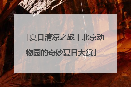 夏日清凉之旅丨北京动物园的奇妙夏日大赏