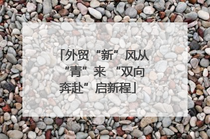外贸“新”风从“青”来 “双向奔赴”启新程