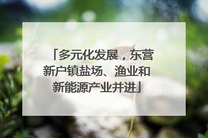 多元化发展，东营新户镇盐场、渔业和新能源产业并进