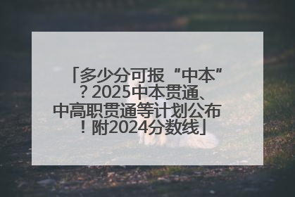 多少分可报“中本”？2025中本贯通、中高职贯通等计划公布！附2024分数线