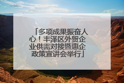 多项成果振奋人心！丰泽区外贸企业供需对接暨惠企政策宣讲会举行