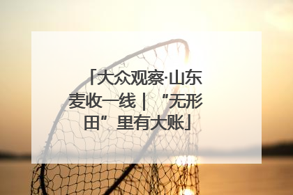 大众观察·山东麦收一线｜“无形田”里有大账