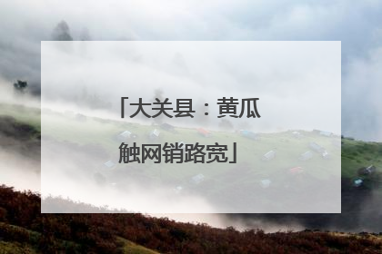 大关县：黄瓜触网销路宽