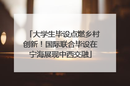 大学生毕设点燃乡村创新！国际联合毕设在宁海展现中西交融