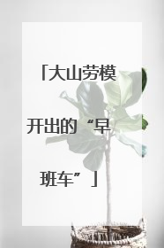 大山劳模开出的“早班车”