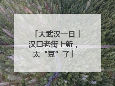 大武汉一日︱汉口老街上新，太“豆”了