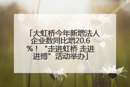 大虹桥今年新增法人企业数同比增20.6%！“走进虹桥 走进进博”活动举办